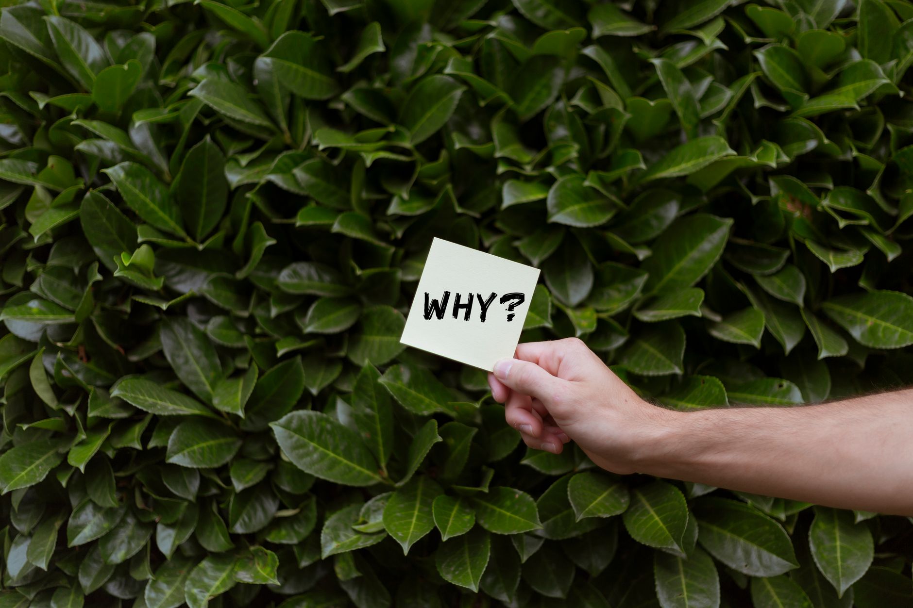 man hand holding note with question